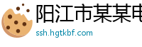 阳江市某某电子科技维修网点